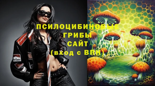 гидра Баксан